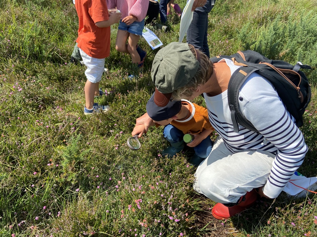 Sortie nature : Au pays des plantes carnivores