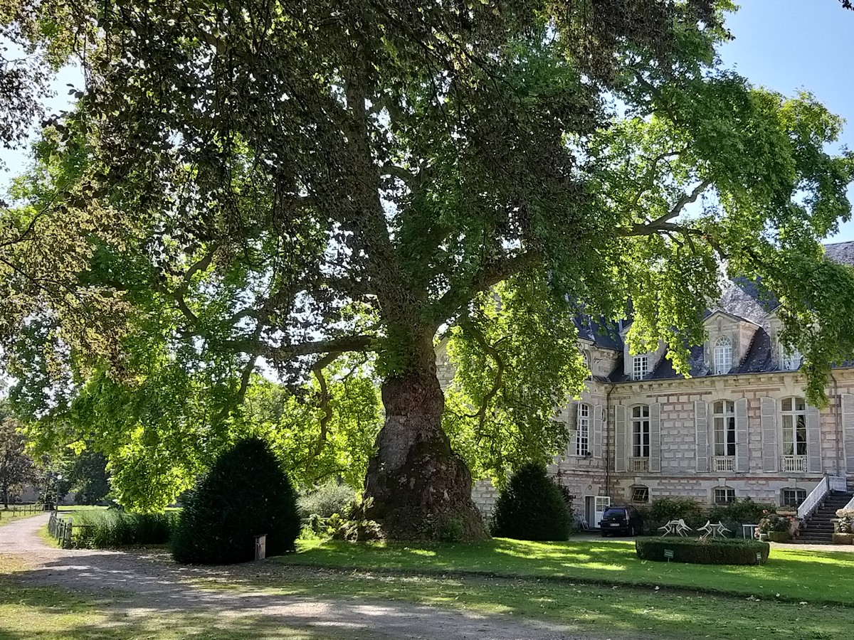 Image de la promenade