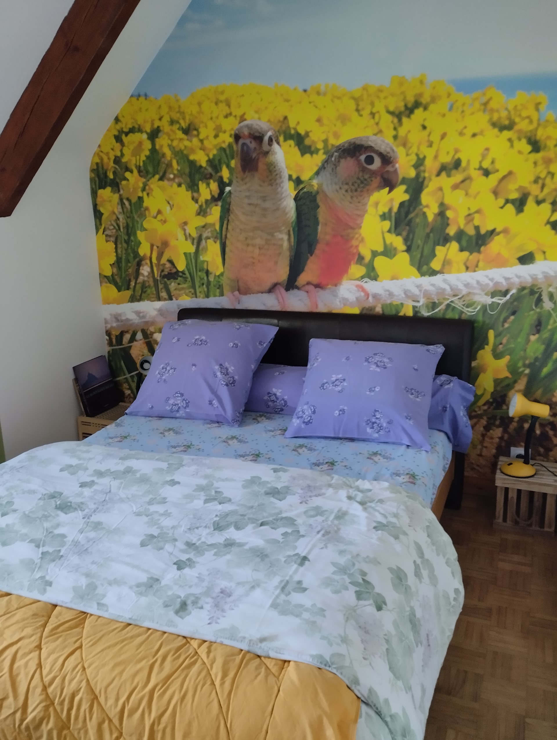 Chambres d'hôtes > Du Clos du Roi, Pontorson