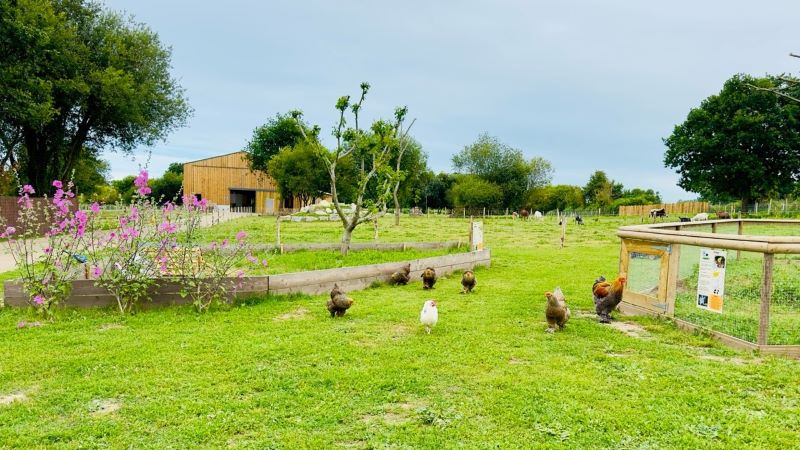 La Mini Ferme du Taillais, Yquelon - photo 3