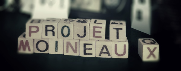 Résidence d'artistes : Projet moineau(x)