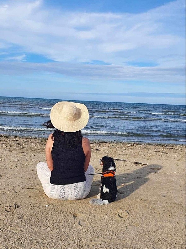 Plage de Quinéville, Quinéville