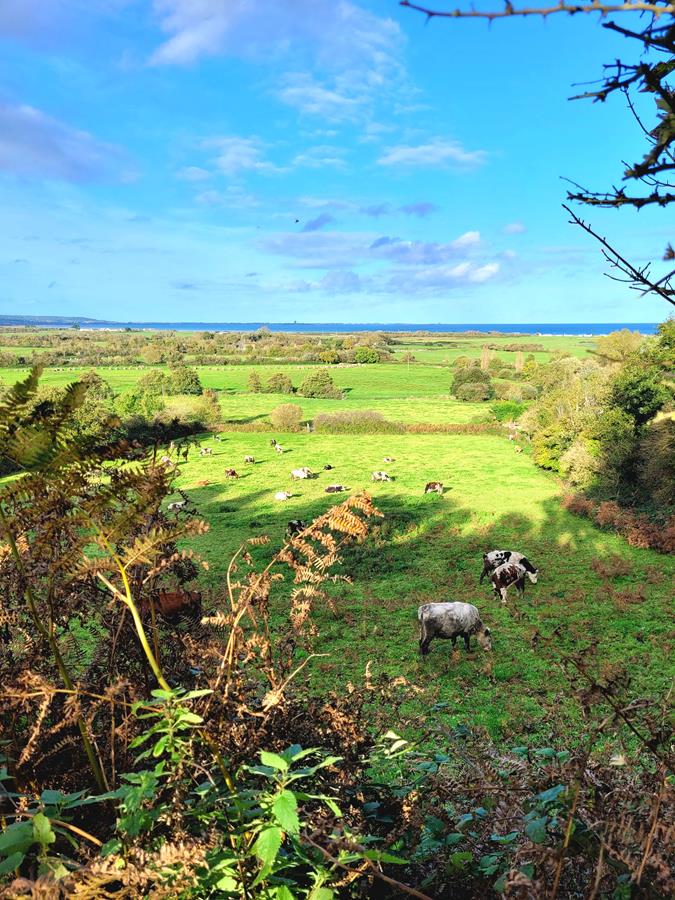 Meublé de Tourisme > Gîte Homard - Quinéville, Quinéville - photo 21