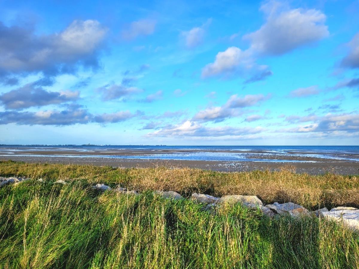 Meublé de Tourisme > Gîte Homard - Quinéville, Quinéville - photo 5