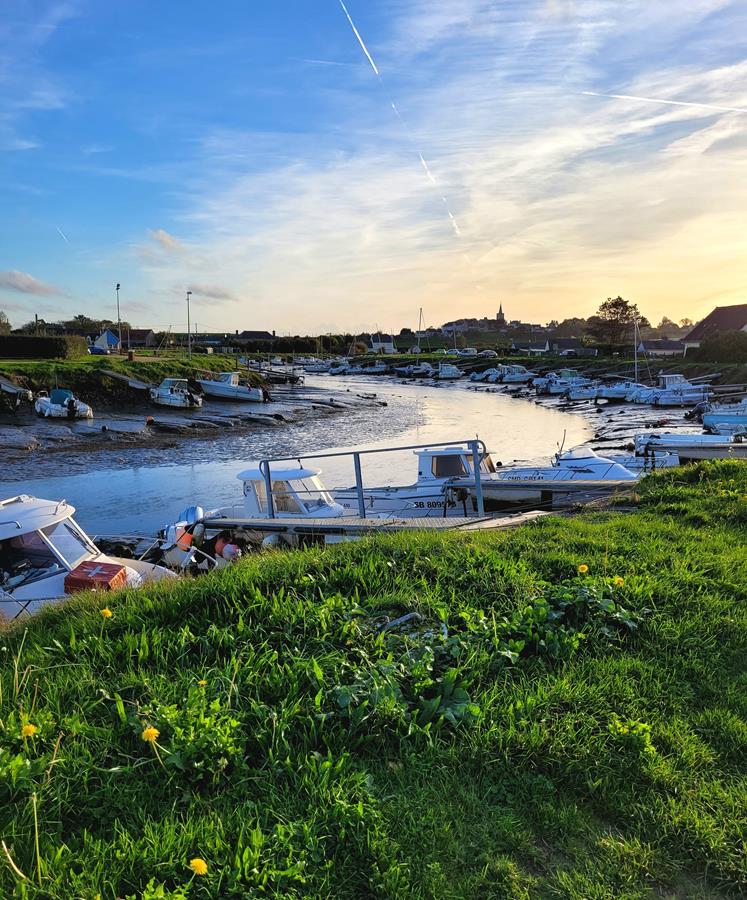 Meublé de Tourisme > Gîte Homard - Quinéville, Quinéville - photo 2
