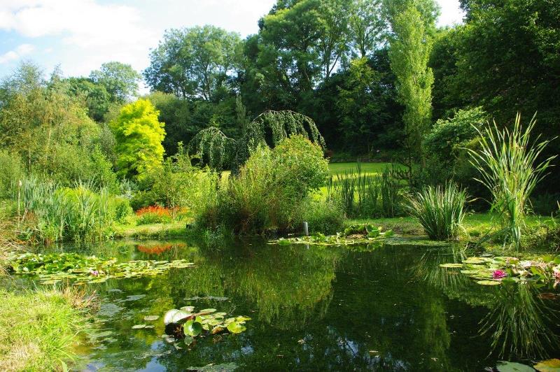 Jardin Le Pré du Moulin, Rampan - photo 6