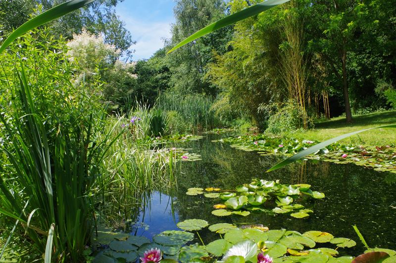 Jardin Le Pré du Moulin, Rampan - photo 7