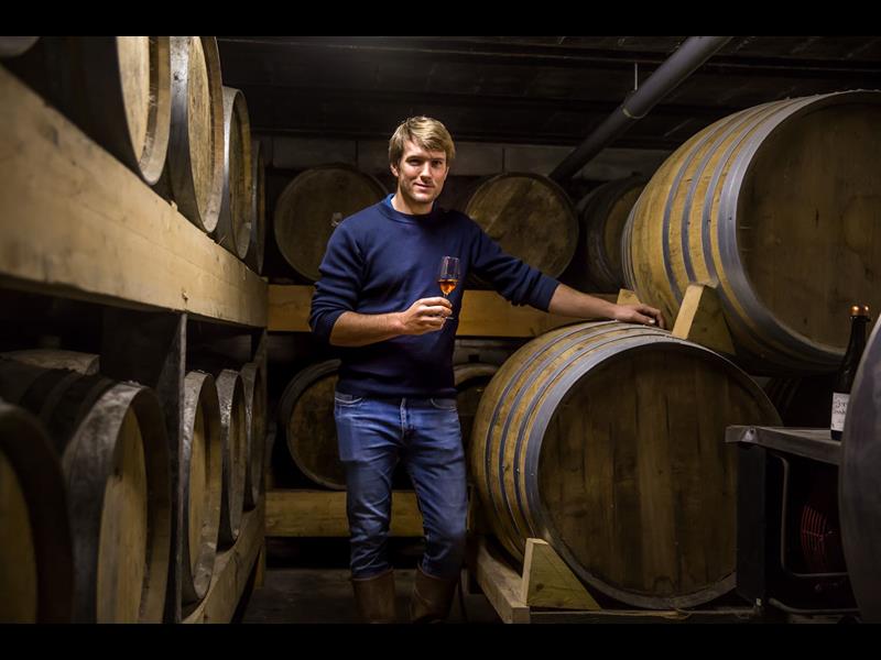 Cidrerie Les Vergers de la Passion, Rauville-la-Bigot - photo 9