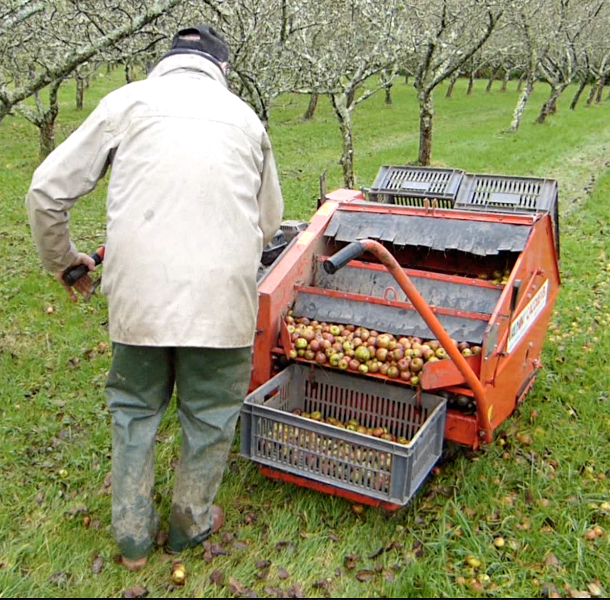 Cidrerie Les Vergers de la Passion, Rauville-la-Bigot - photo 2