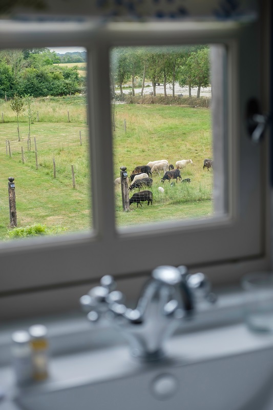 Meublé de tourisme > L'Ecurie de Ravenoville, Sainte-Mère-Église - photo 8