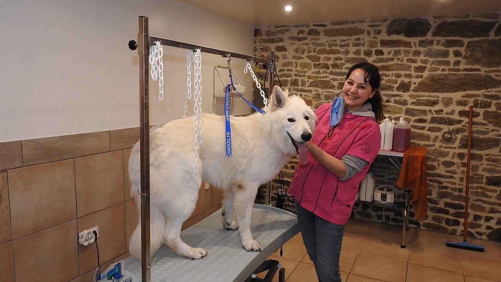 Will To Go Park - Chiens de traineau, Condé-en-Normandie - photo 5