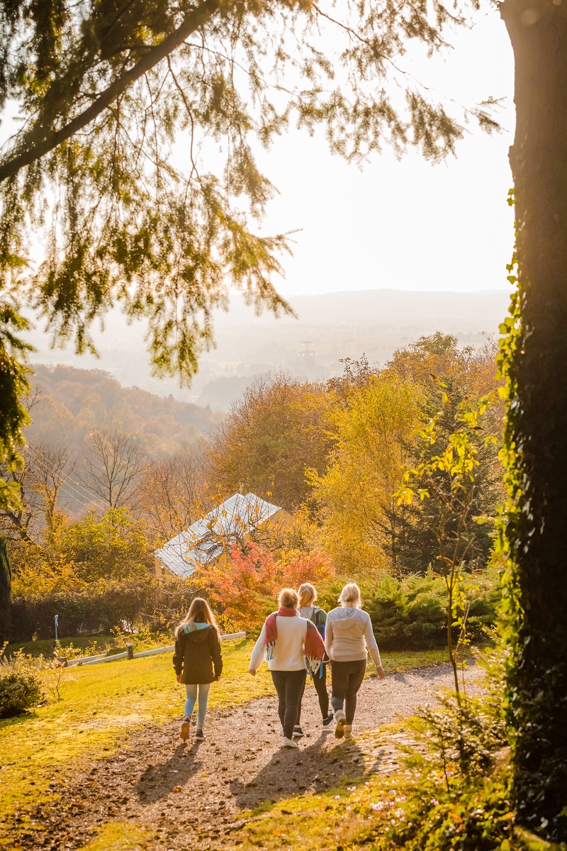 Le Papillon au fil de l'eau