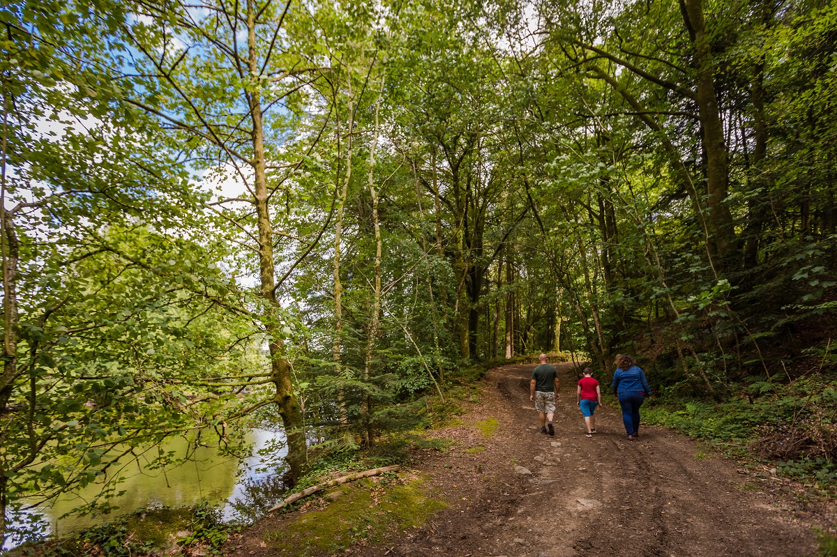 Le Papillon au fil de l'eau, Saint-Pois