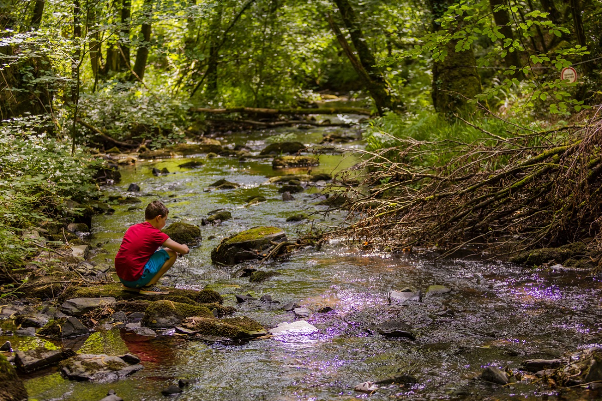 Le Papillon au fil de l'eau, Saint-Pois - photo 3