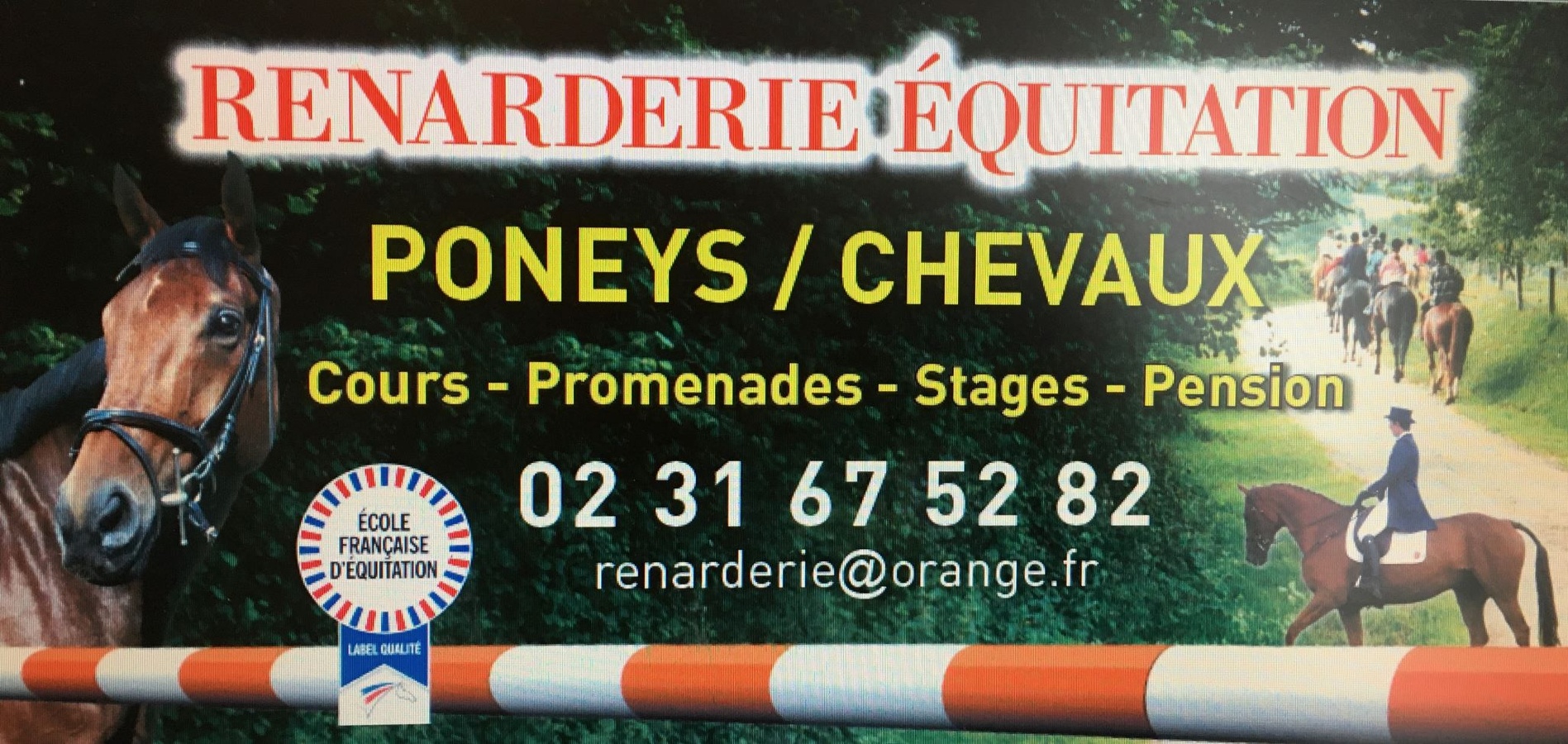 Balade, cours, stages à cheval et/ou poney