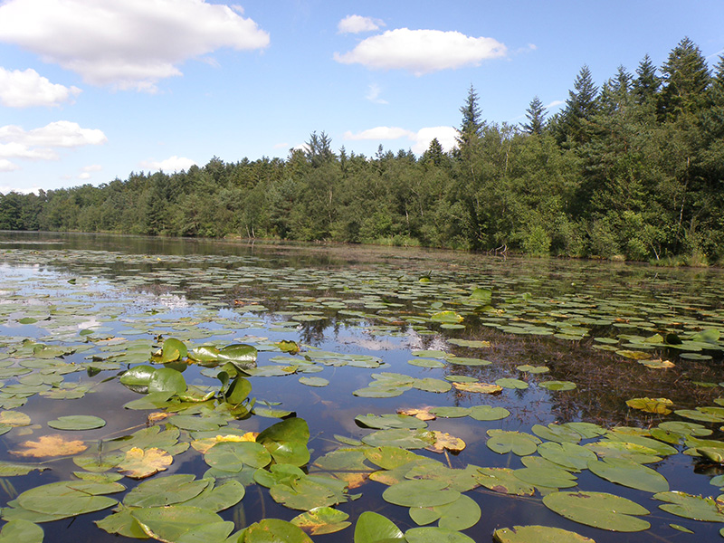 Réserve naturelle régionale de Bresolettes