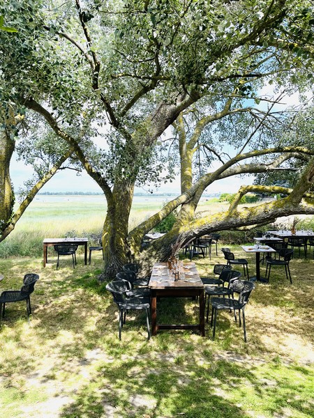 La Baie, Regnéville-sur-Mer - photo 3