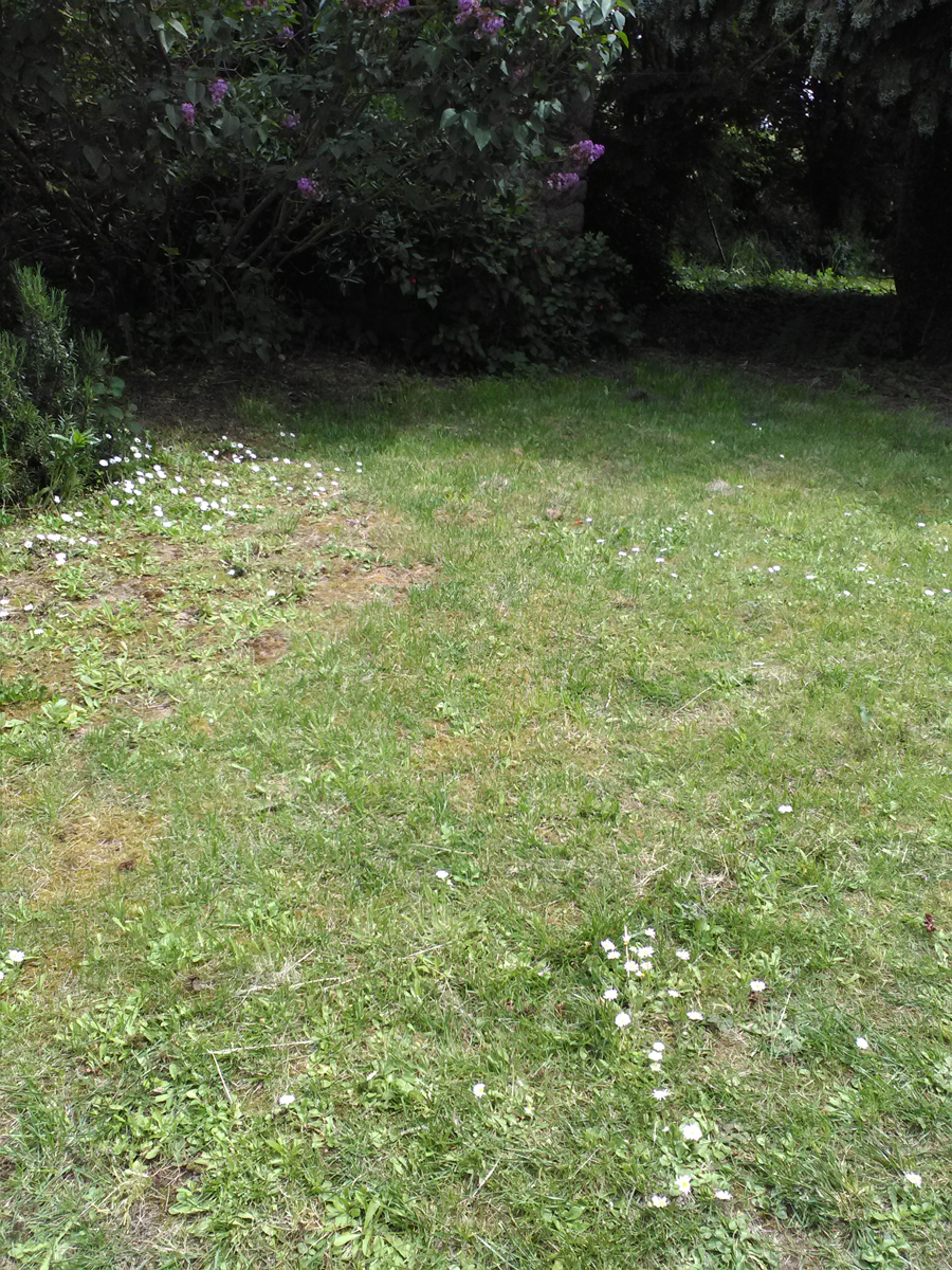 Meublé de tourisme > La Petite Maison, Réville - photo 7