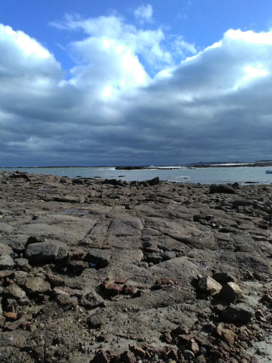 Meublé de tourisme > La Petite Maison, Réville - photo 3