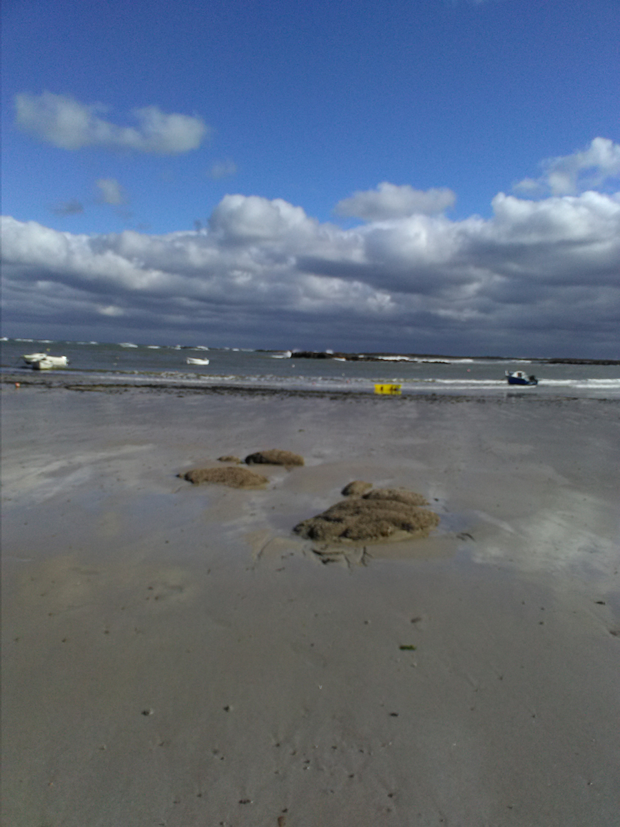 Meublé de tourisme > La Petite Maison, Réville - photo 9