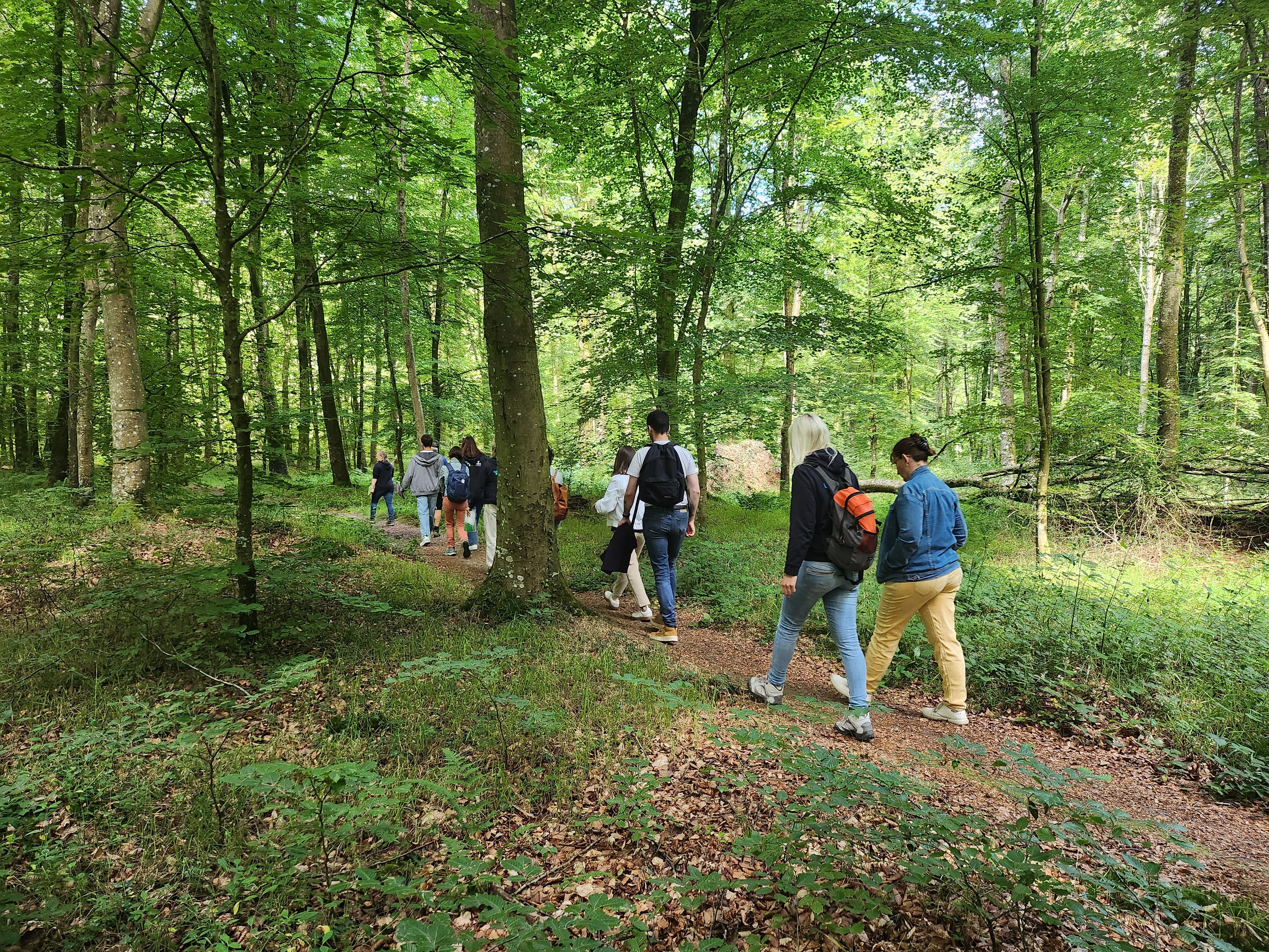 Chasse au trésor en forêt de Cerisy - "La quête féerique", Montfiquet - photo 3