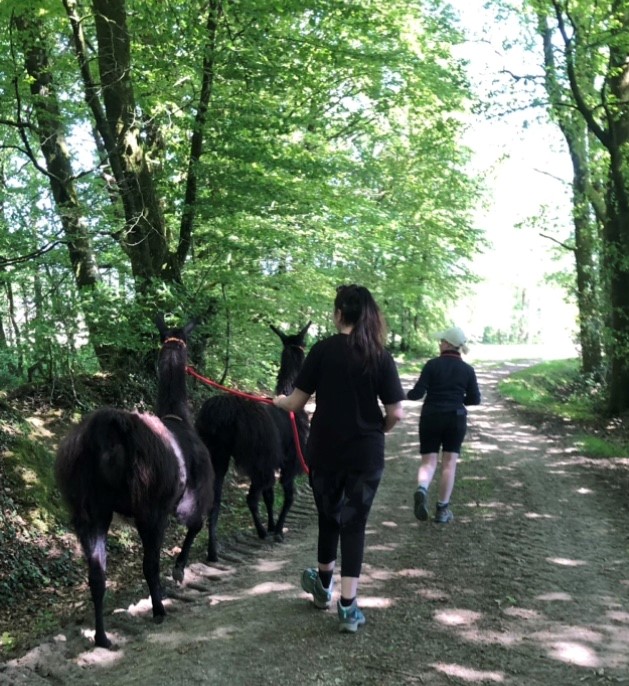 Bisou d’Alpaga, Saint-Clément-Rancoudray