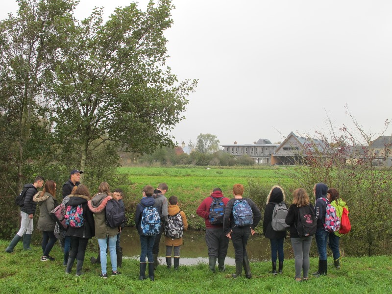 Maison du Parc naturel régional des Marais du Cotentin et du Bessin, Carentan-les-Marais - photo 2