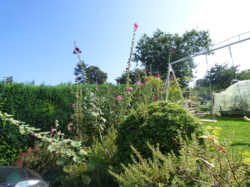 Meublé de tourisme > Les Clématites 2, Saint-Cyr-du-Bailleul - photo 3