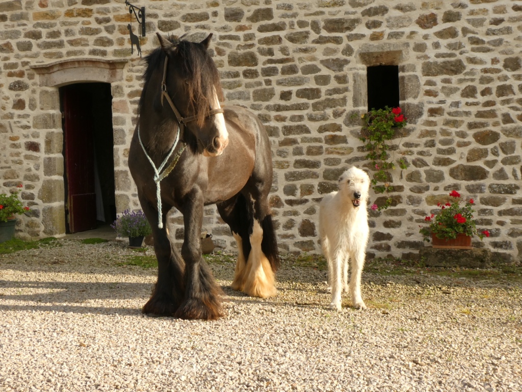 Chambres d'Hôtes > A la Ferme de la Guinguette, Saint-Floxel - photo 2