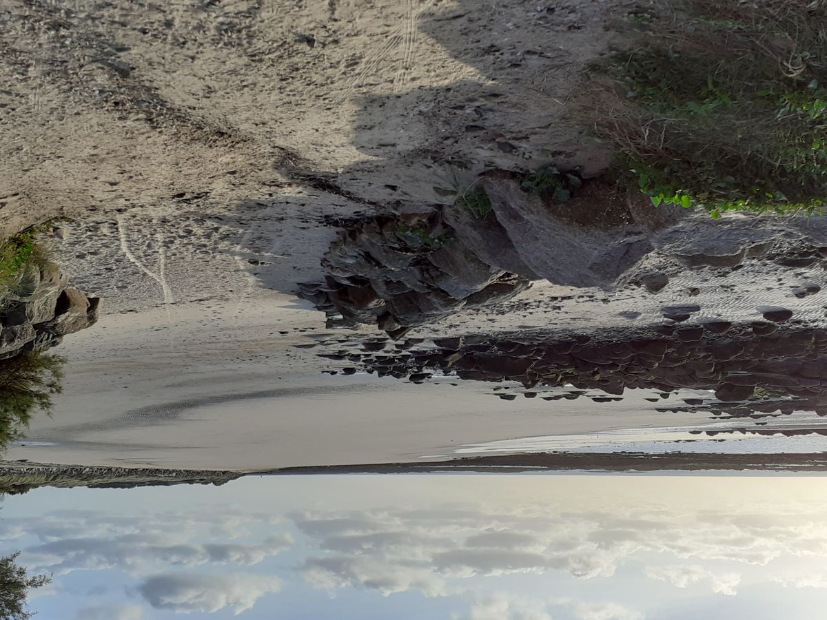 Meublé de tourisme > Au petit Maltot, Réville - photo 10