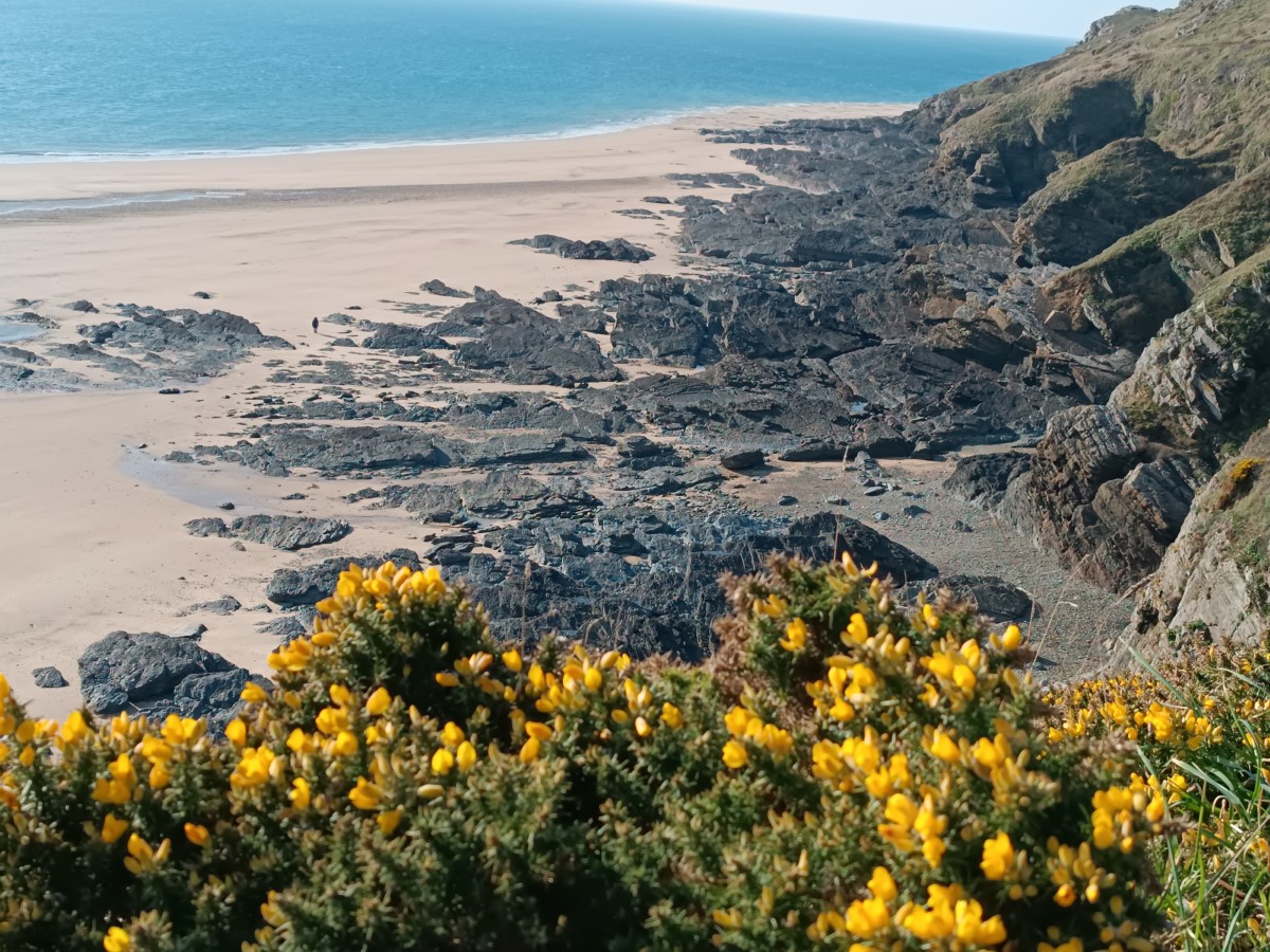 Meublé de tourisme > La parenthèse bleue, Saint-Georges-de-la-Rivière - photo 3
