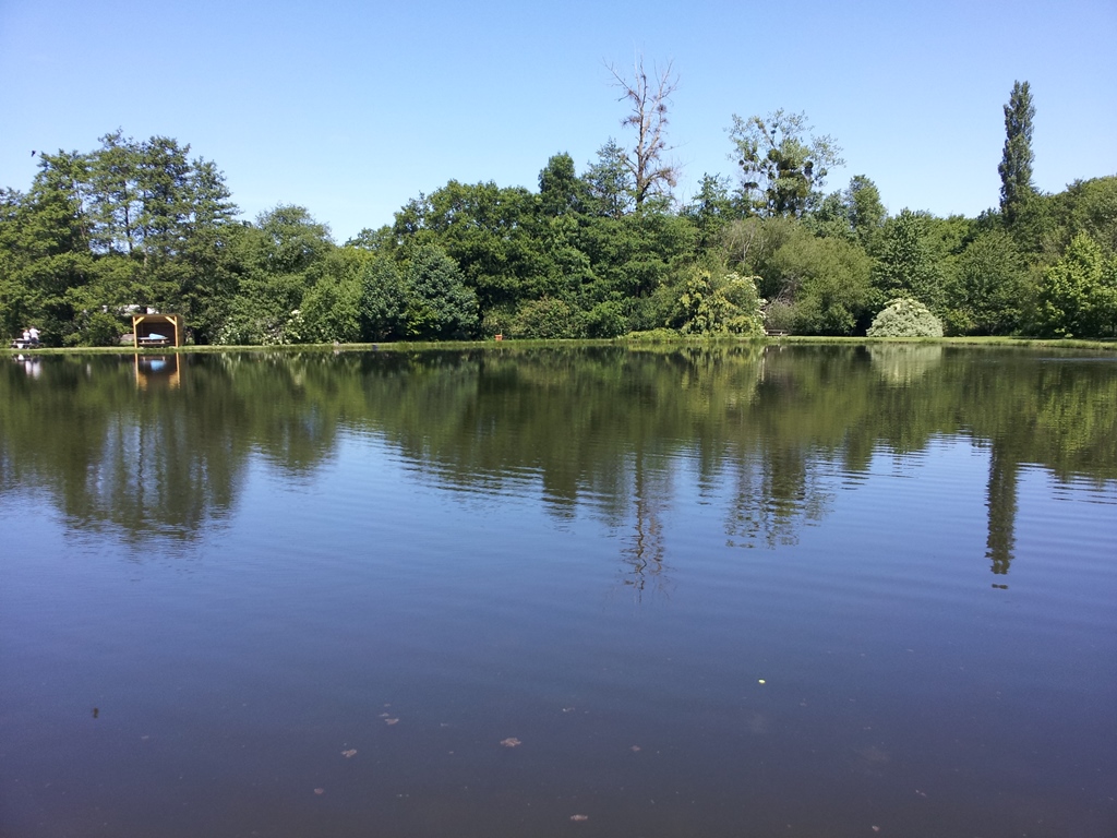 Les Etangs du Val de Sée, Saint-Georges-de-Livoye - photo 2