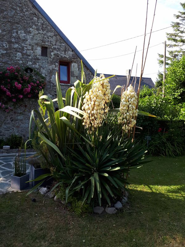 Meublé de tourisme > Entre Terre et Mer, Saint-Germain-le-Gaillard - photo 11