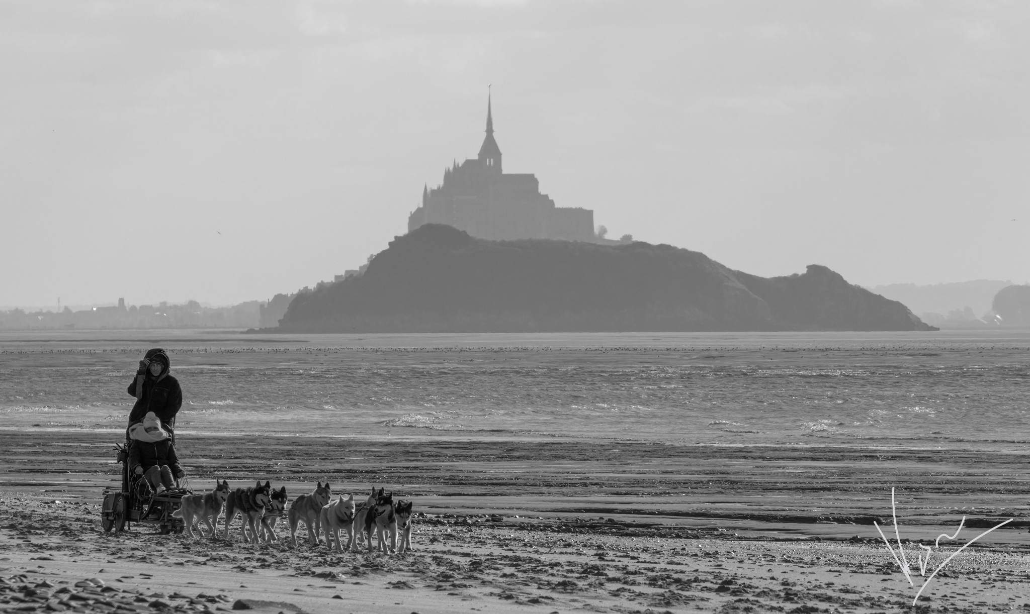 Association Les Huskys de la Baie - photo 5