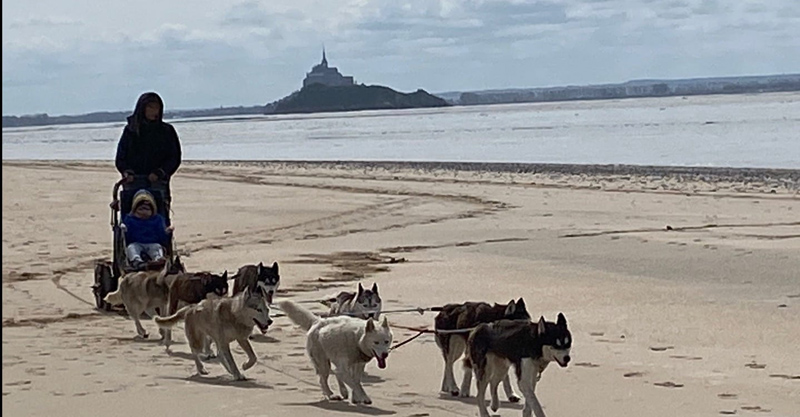 Association Les Huskys de la Baie - photo 3