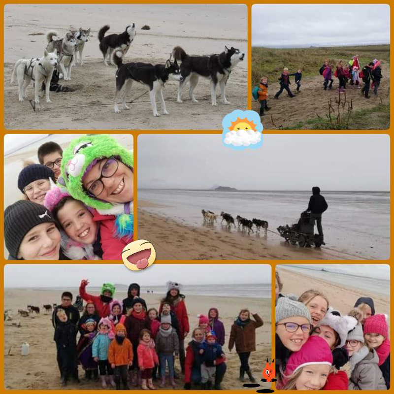 Association Les Huskys de la Baie - photo 2