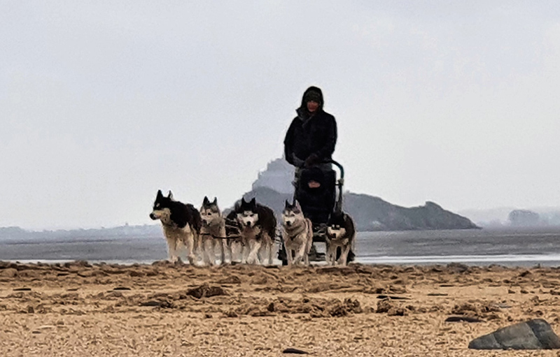 Association Les Huskys de la Baie