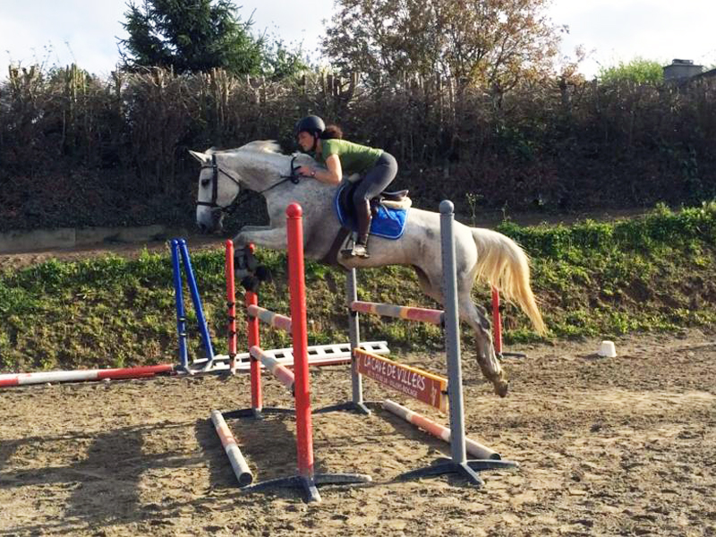 Centre Equestre Poney Club Le Picotin, Saint-Lô - photo 4