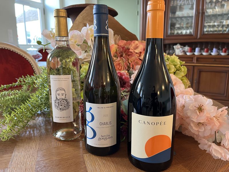 Le Domaine de la Vallée, Saint-Martin-de-Varreville - photo 5