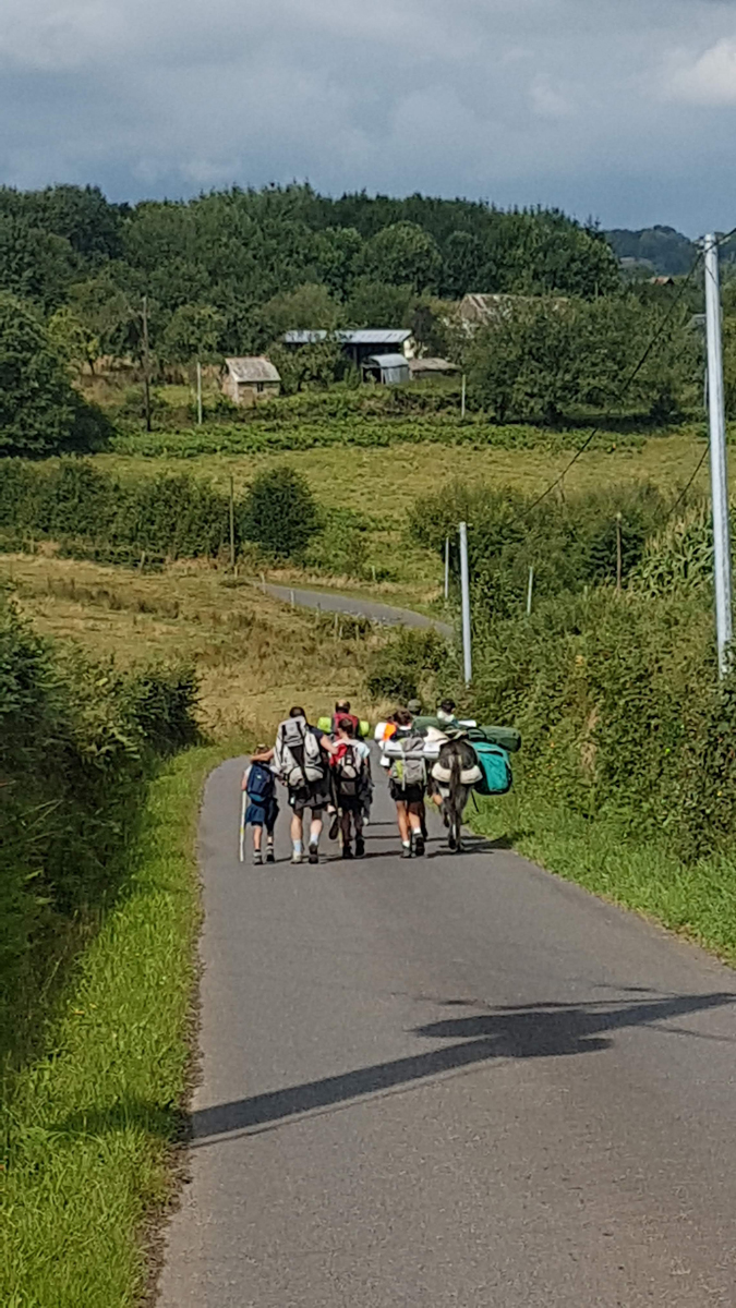 Meublé de tourisme > Apple Tree Hill - Le Pommier, Saint-Maur-des-Bois - photo 14