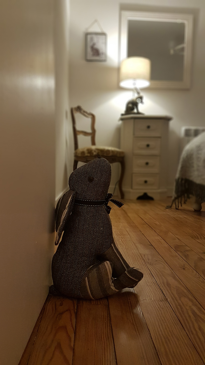 Meublé de tourisme > Apple Tree Hill - Le Pommier, Saint-Maur-des-Bois - photo 9