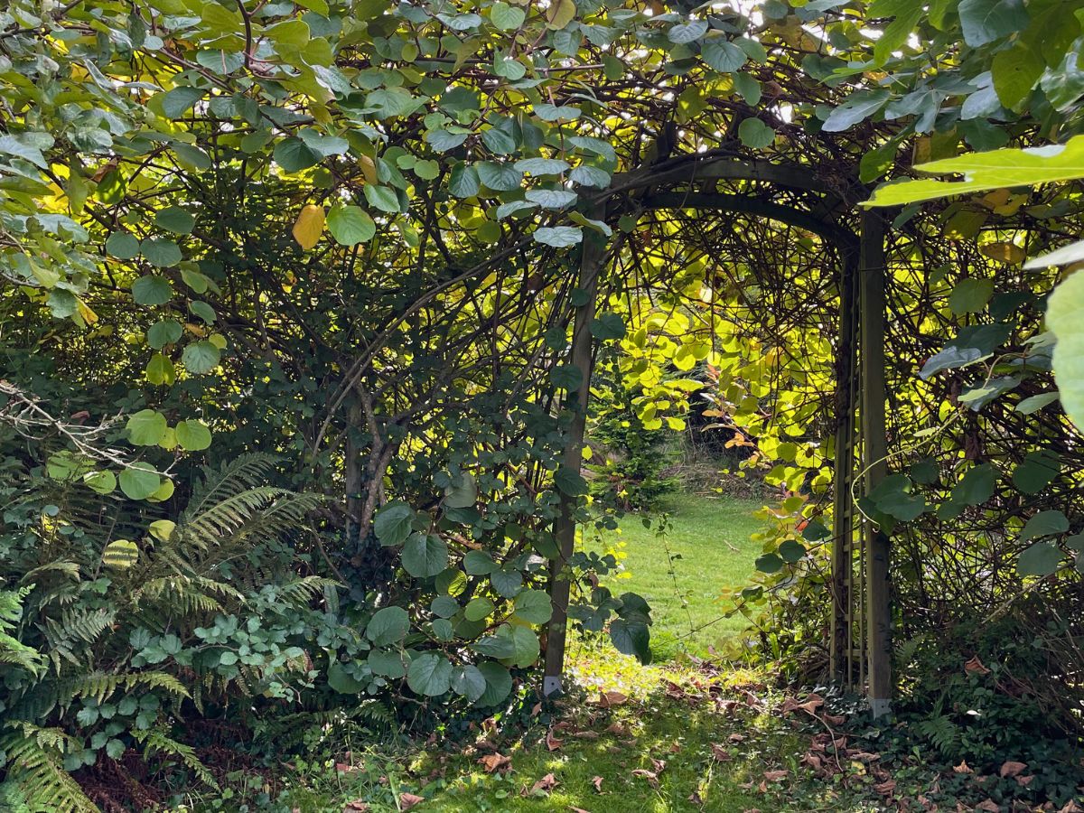Meublé de tourisme > Maison Lady Dy, Saint-Maurice-en-Cotentin - photo 17