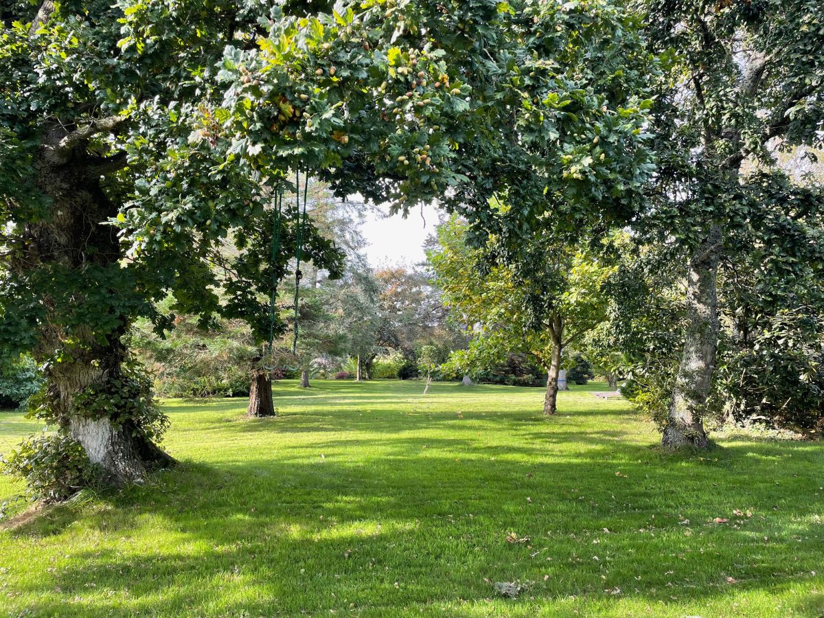 Meublé de tourisme > Maison Lady Dy, Saint-Maurice-en-Cotentin - photo 16