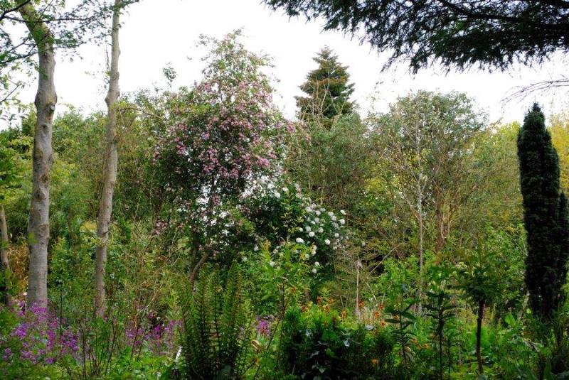 Jardin Blòm-Myraland, Carentan-les-Marais - photo 4