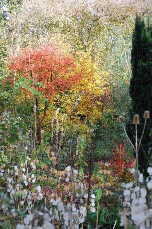 Jardin Blòm-Myraland, Carentan-les-Marais - photo 10