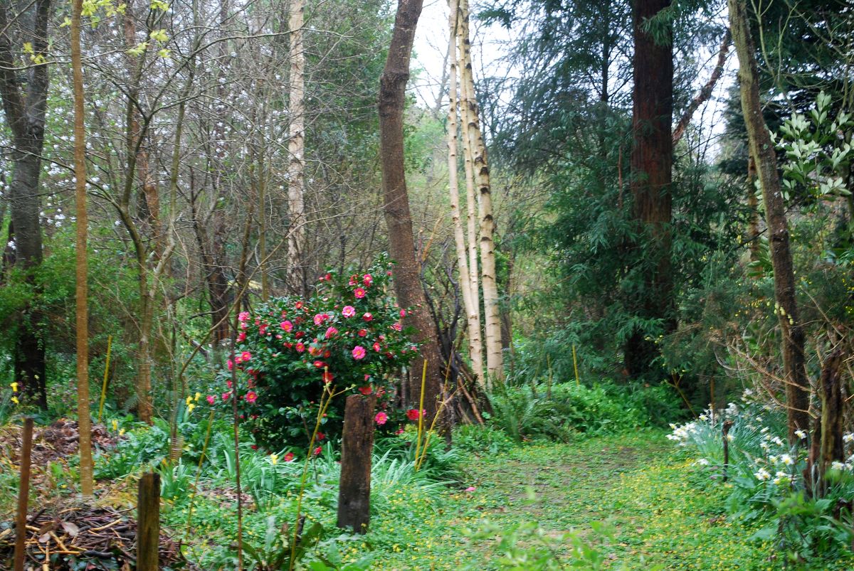 Jardin Blòm-Myraland, Carentan-les-Marais
