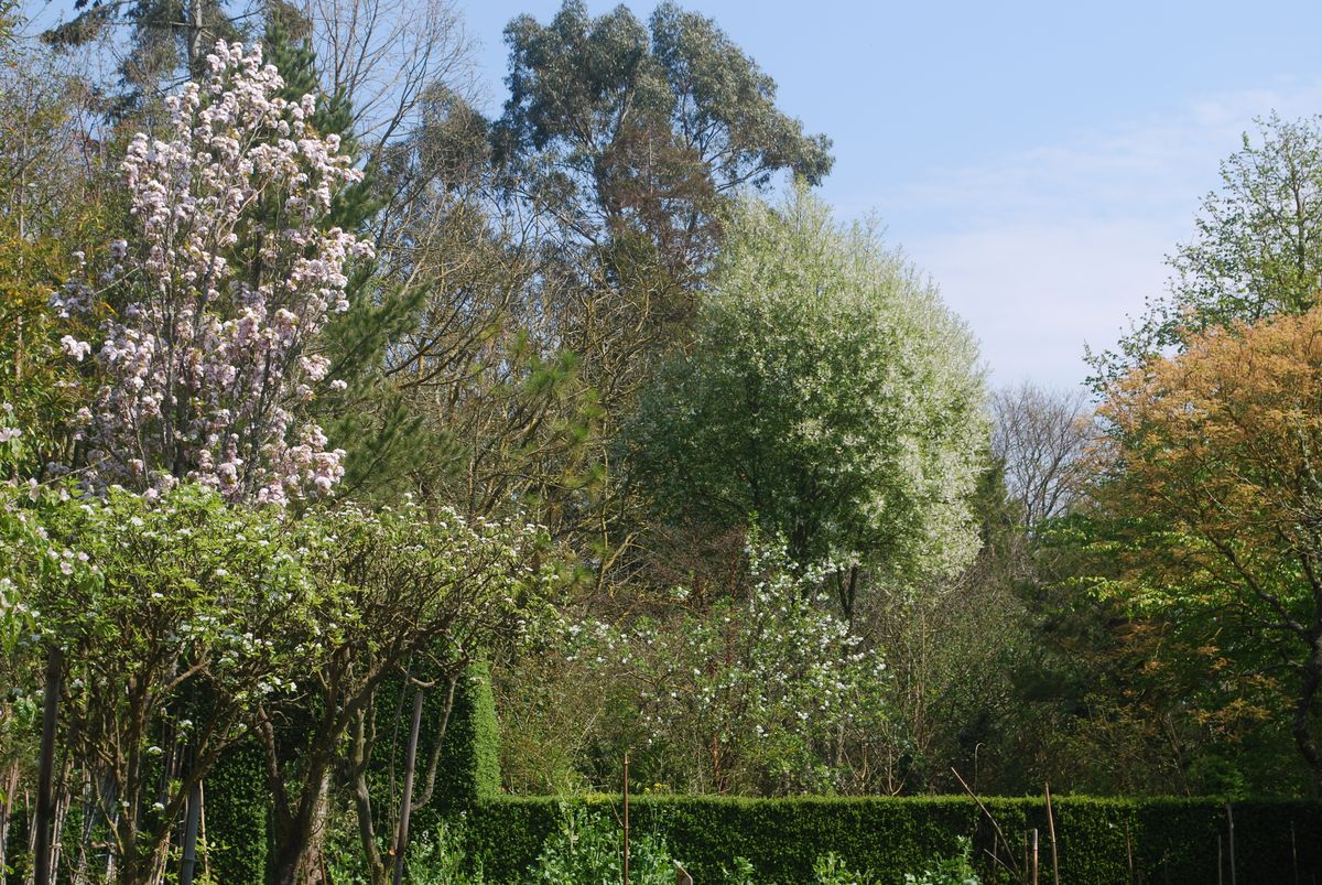 Jardin Blòm-Myraland, Carentan-les-Marais - photo 8