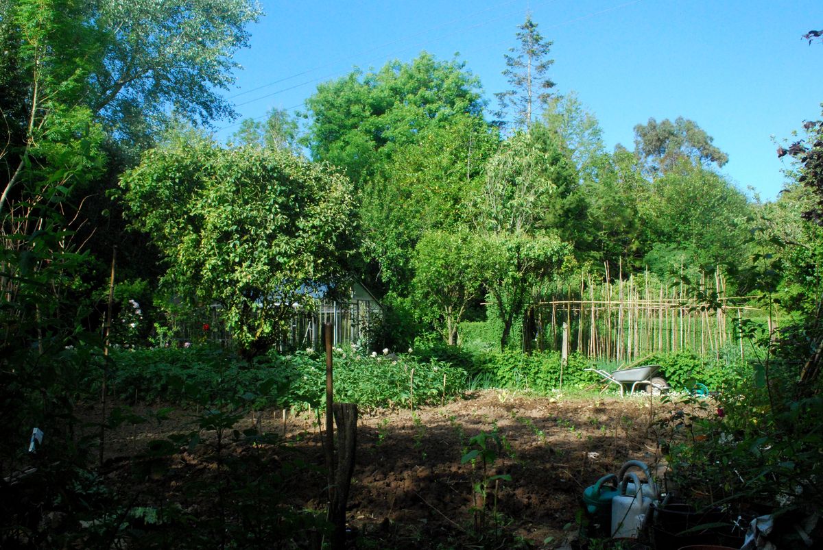 Jardin Blòm-Myraland, Carentan-les-Marais - photo 6