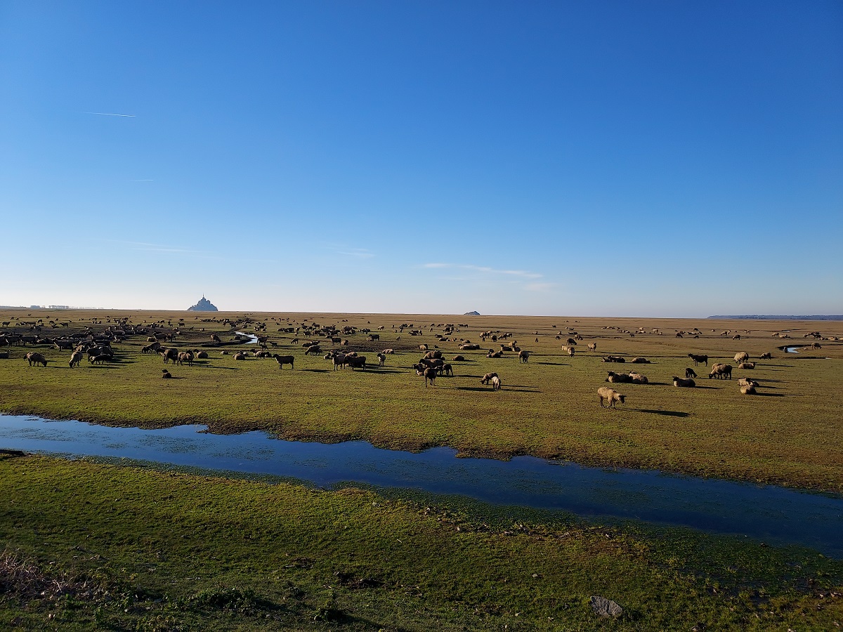 Meublé de tourisme > La Clé du Chesnot, Saint-Quentin-sur-le-Homme - photo 14