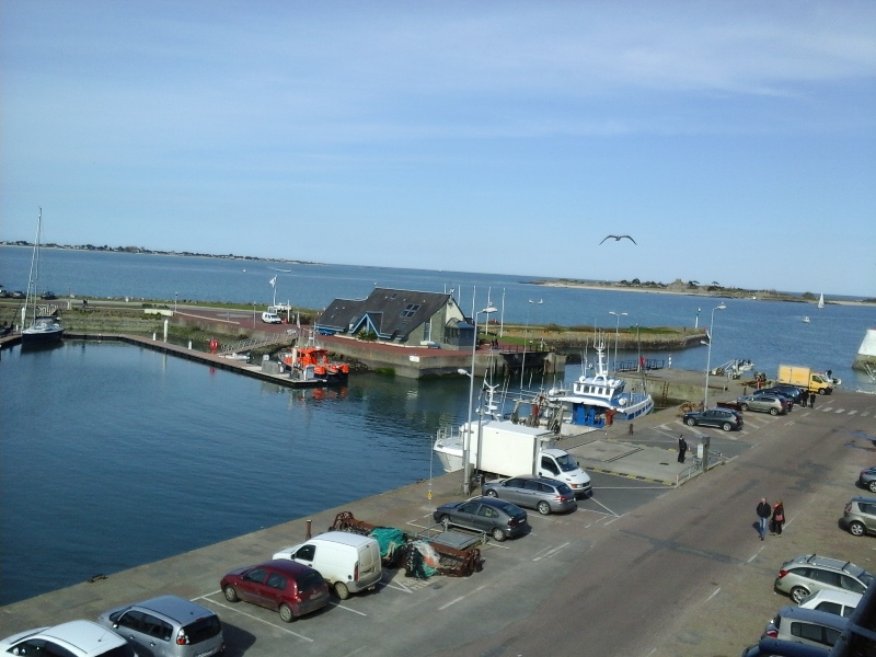 Meublé de tourisme > Le Morne, Saint-Vaast-la-Hougue - photo 10